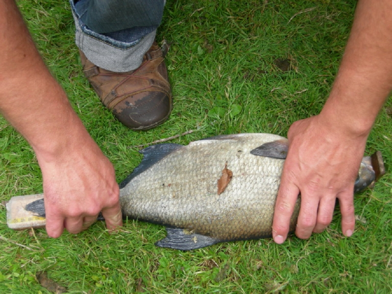 Lith 2008 (122)